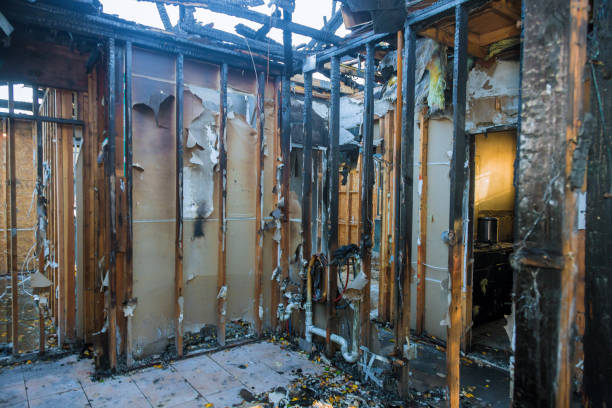 Professional Fire Damage Assessment technician working in Prunedale, CA